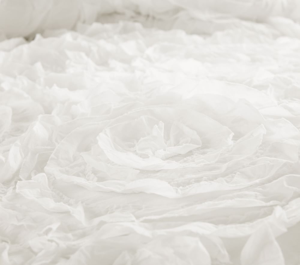 Pottery barn bliss quilt discount